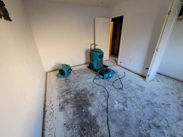 Best Sewage cleanup and water damage restoration  in Covgton, IN