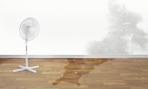 Best Water damage restoration near me  in Covgton, IN