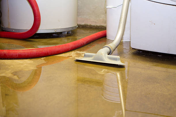 Best 24/7 water damage repair  in Covgton, IN