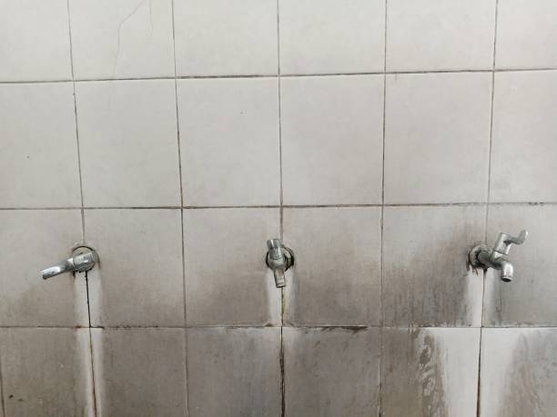 Best Water damage restoration experts  in Covgton, IN