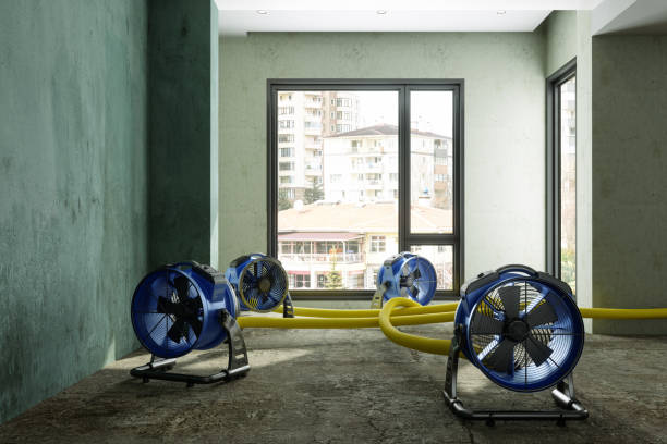 Best Sewage cleanup and water damage restoration  in Covgton, IN